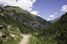 Hiking paths in Rauris Valley